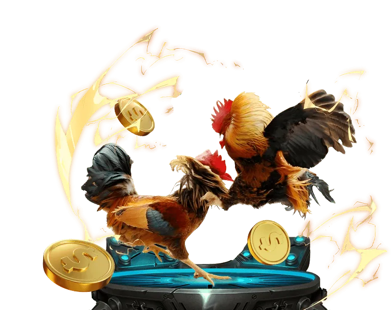 Hình ảnh minh họa mẹo cá cược đá gà tre Thomo